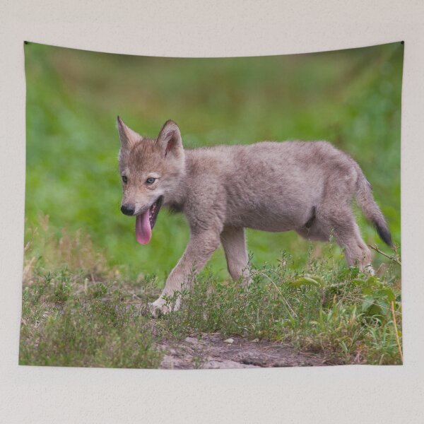 Item preview, Timber Wolf Pup designed and sold by Michael Cummings.