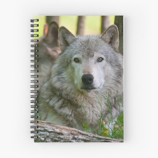 Artikelvorschau, Holzwolf entworfen und verkauft von Michael Cummings.