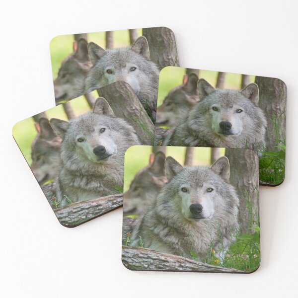 Item preview, Timber Wolf designed and sold by Michael Cummings.