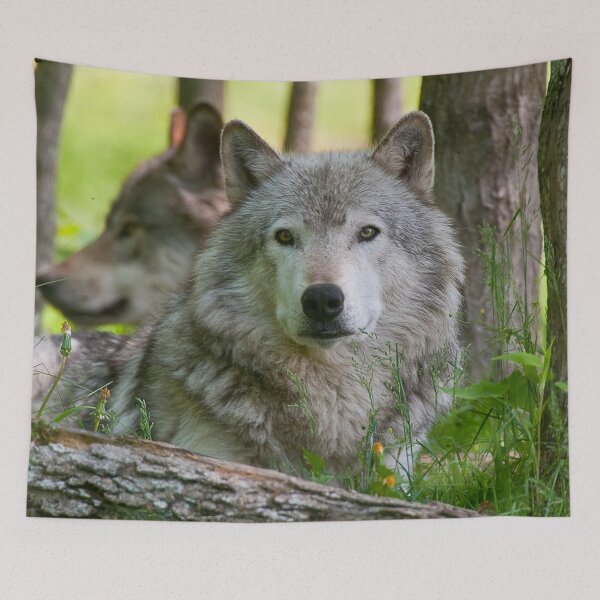 Item preview, Timber Wolf designed and sold by Michael Cummings.