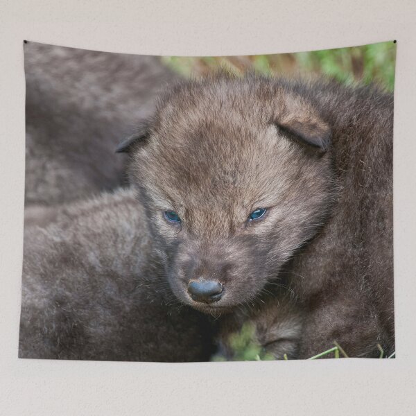 Item preview, Timber Wolf Pup designed and sold by Michael Cummings.