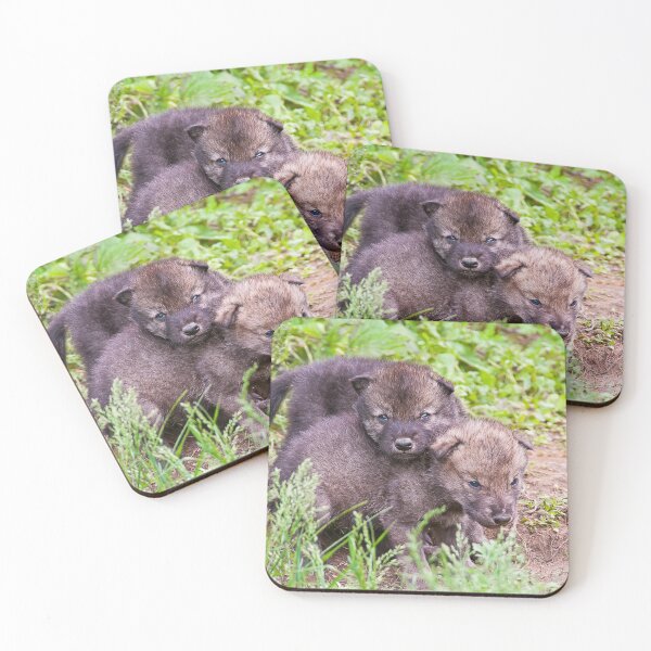 Item preview, Gray Wolf Pups designed and sold by Michael Cummings.