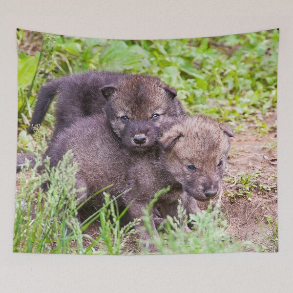 Item preview, Gray Wolf Pups designed and sold by Michael Cummings.