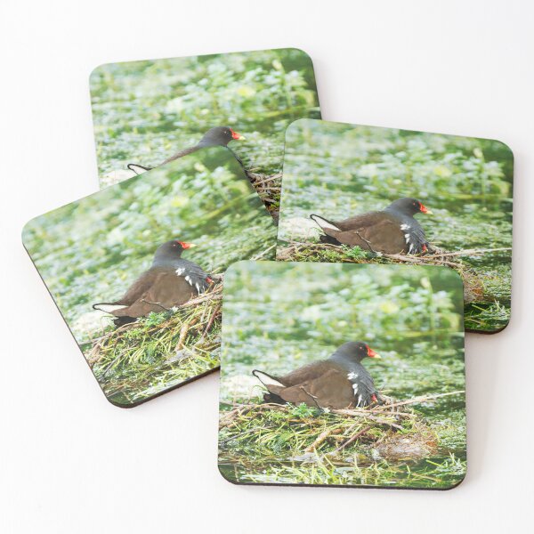 Item preview, LOOKING AFTER THE LITTLE ONE designed and sold by andrewsaxton.