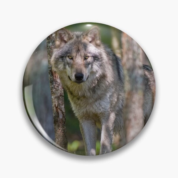 Item preview, Timber Wolf designed and sold by Michael Cummings.