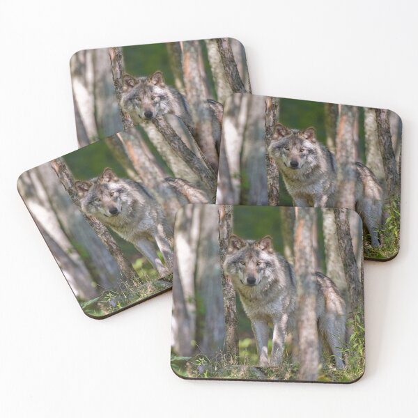 Item preview, Timber Wolf designed and sold by Michael Cummings.