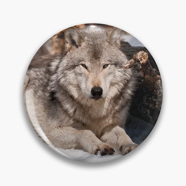 Item preview, Timber Wolf designed and sold by Michael Cummings.
