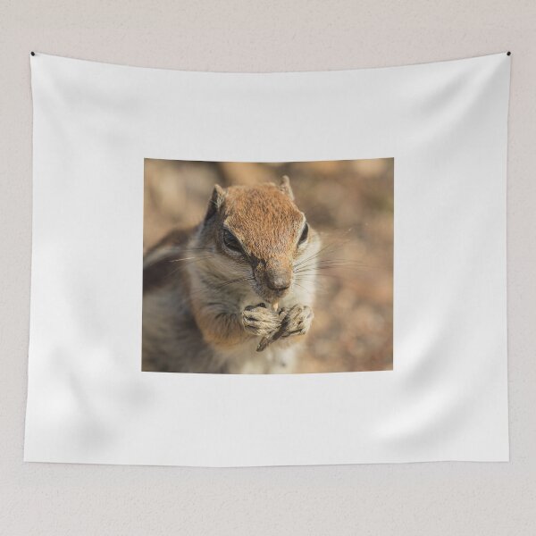Item preview, A chipmunk eating a peanut designed and sold by Anita van Gendt.