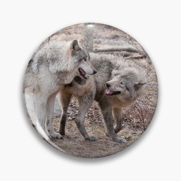 Item preview, Gray Wolf designed and sold by Michael Cummings.