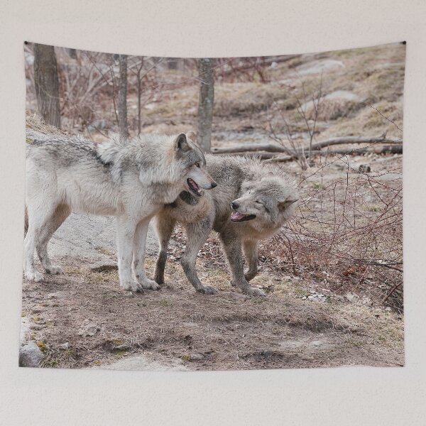 Item preview, Gray Wolf designed and sold by Michael Cummings.