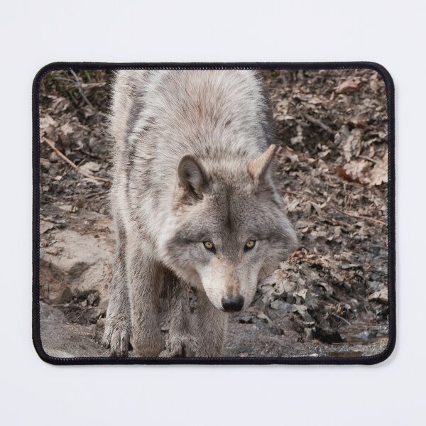 Item preview, Timber Wolf designed and sold by Michael Cummings.