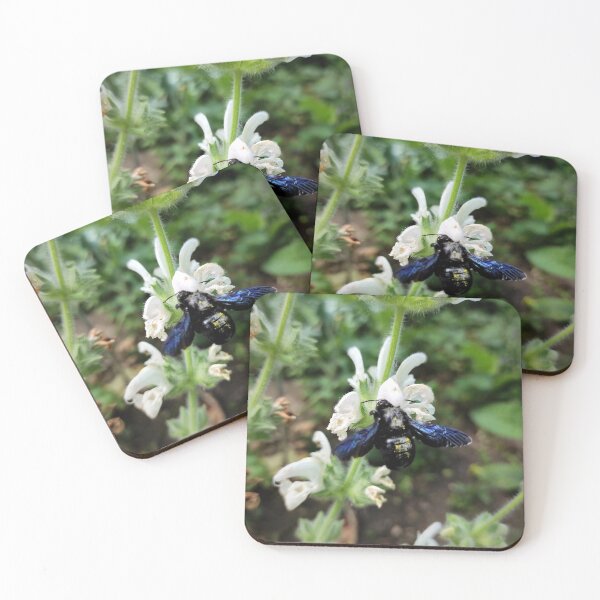 Item preview, Wooden bee on sage designed and sold by Gourmetkater.