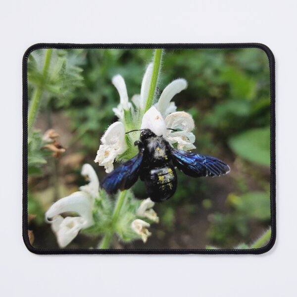 Item preview, Wooden bee on sage designed and sold by Gourmetkater.