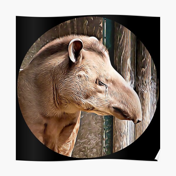 Visual Arts Tapir Biology Student Tapir Gift Wildlife Ecology Tapir Art ...