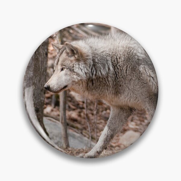 Item preview, Gray Wolf designed and sold by Michael Cummings.