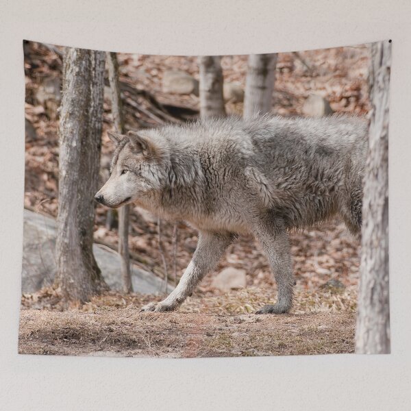 Item preview, Gray Wolf designed and sold by Michael Cummings.