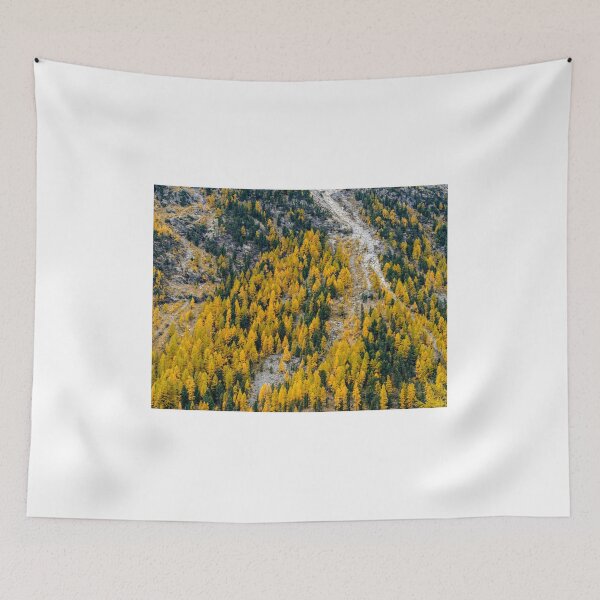 Item preview, Engadine Larch designed and sold by DiFigianoPhoto.