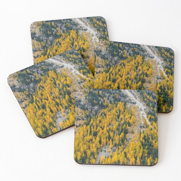 Item preview, Engadine Larch designed and sold by DiFigianoPhoto.