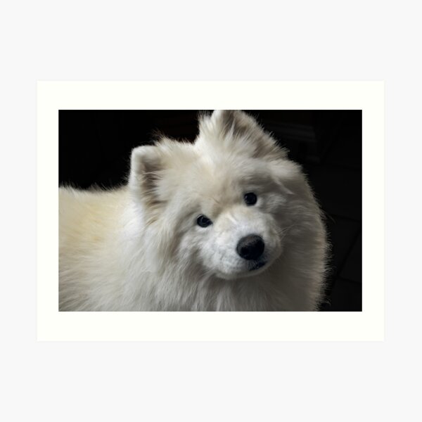 Love Art Print