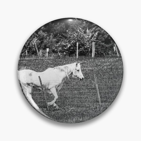 Item preview, Gunnie the welsh mountain x Arabian pony designed and sold by mellielee.