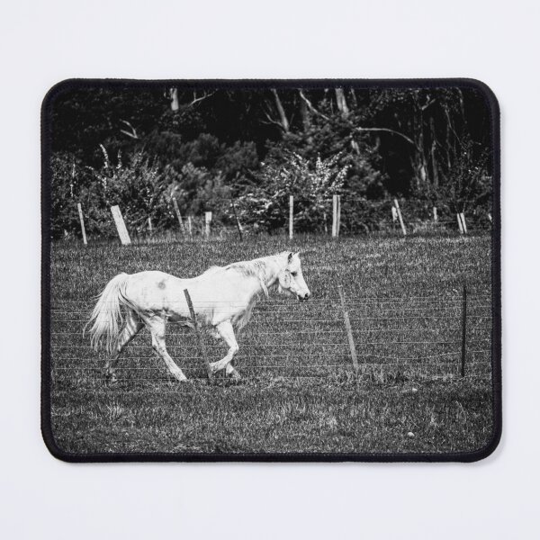 Item preview, Gunnie the welsh mountain x Arabian pony designed and sold by mellielee.