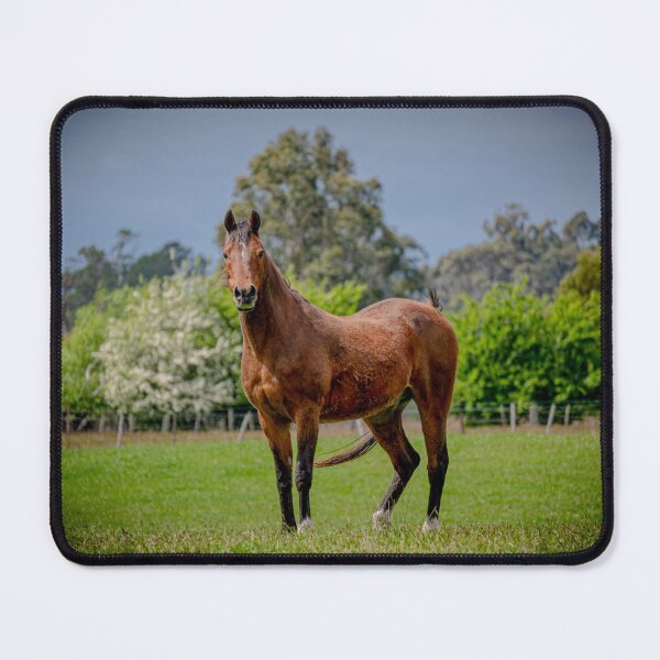 Item preview, Nimbus the Arabian designed and sold by mellielee.