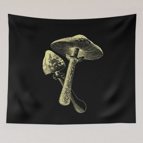 Item preview, Fungi Foraging Mushroom Whisperer designed and sold by TranscendFlow.