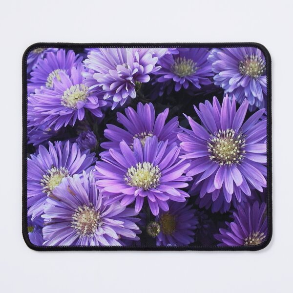 Item preview, Purple Autumn Asters Flowers designed and sold by JariHawk.