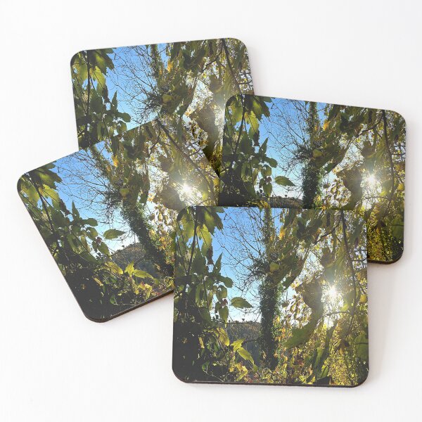 Item preview, Sunbeams in the autumnal Franconian jungle designed and sold by frankuffmann.