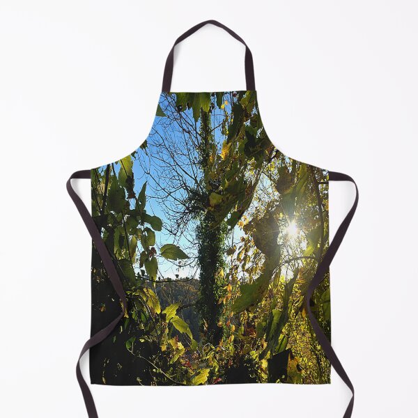 Item preview, Sunbeams in the autumnal Franconian jungle designed and sold by frankuffmann.