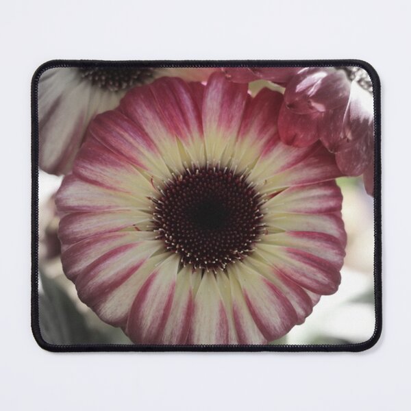 Item preview, Pink Large Gerber Daisy Single Flower designed and sold by JariHawk.