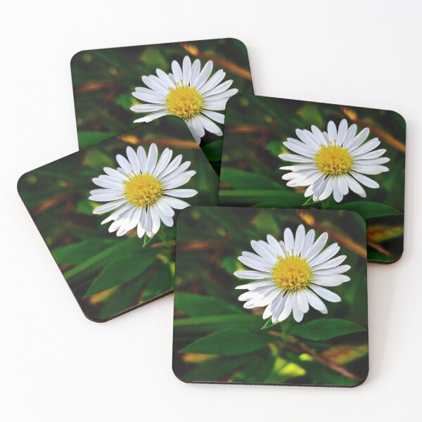 Item preview, Tiny Daisy-Rich Color designed and sold by Rebekah Slick.