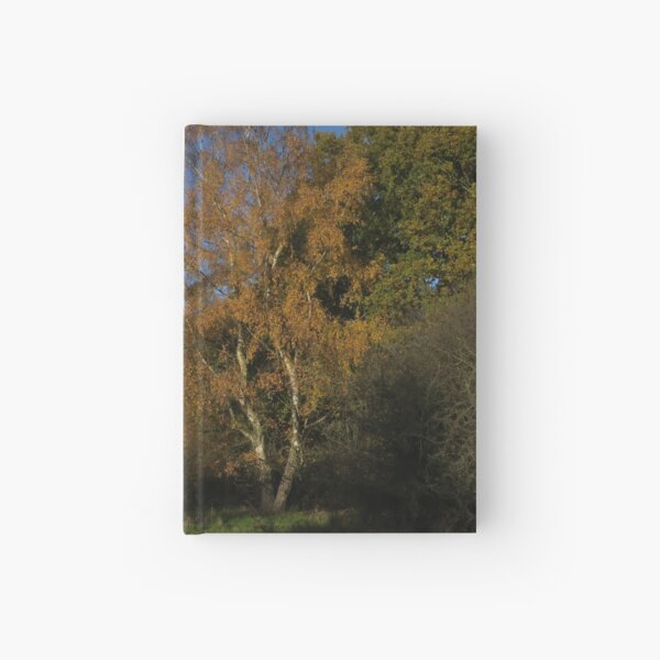Silver Birch and The Oak Hardcover Journal