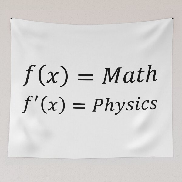 Item preview, funny math and physics derivative designed and sold by NoetherSym.