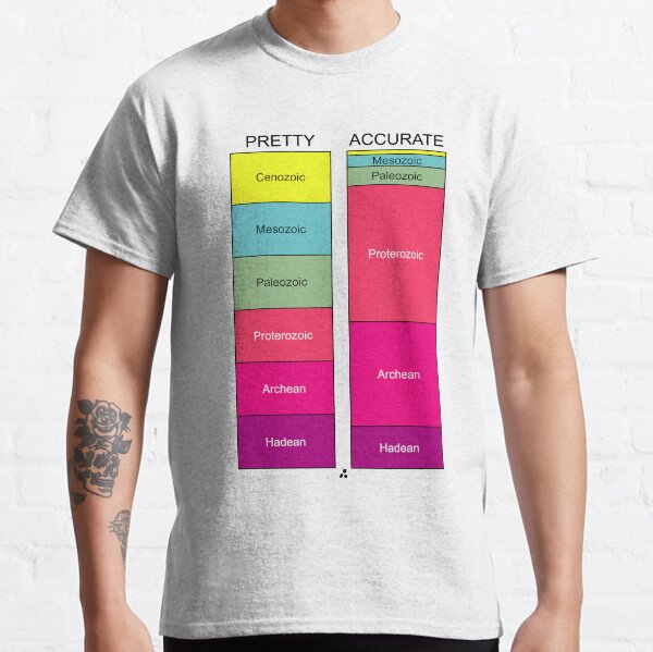 Pretty Accurate I Classic T-Shirt