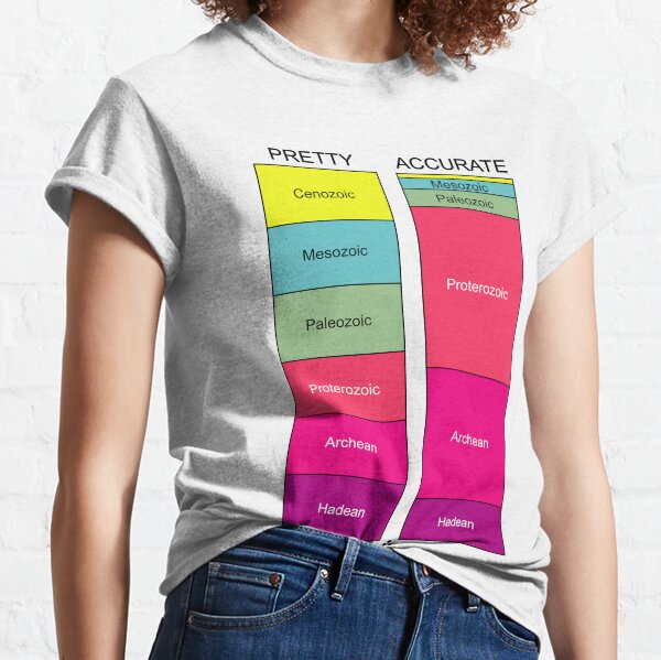 Pretty Accurate I Classic T-Shirt