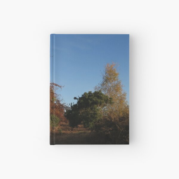 Silver Birch, Beech and Bracken Hardcover Journal