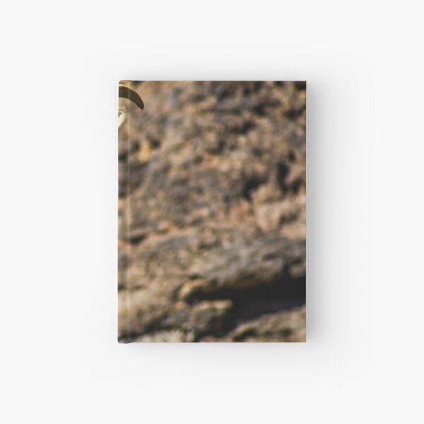 Long Horn Sheep Hardcover Journal