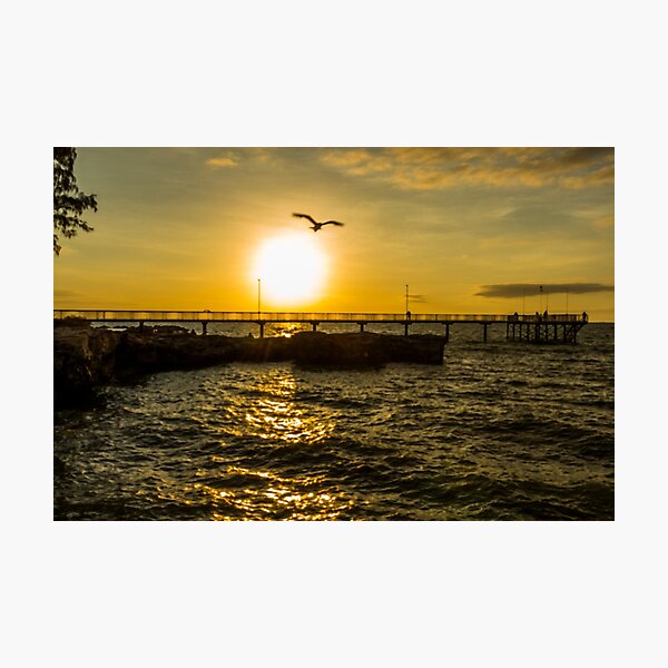 Fly off into the sunset Photographic Print