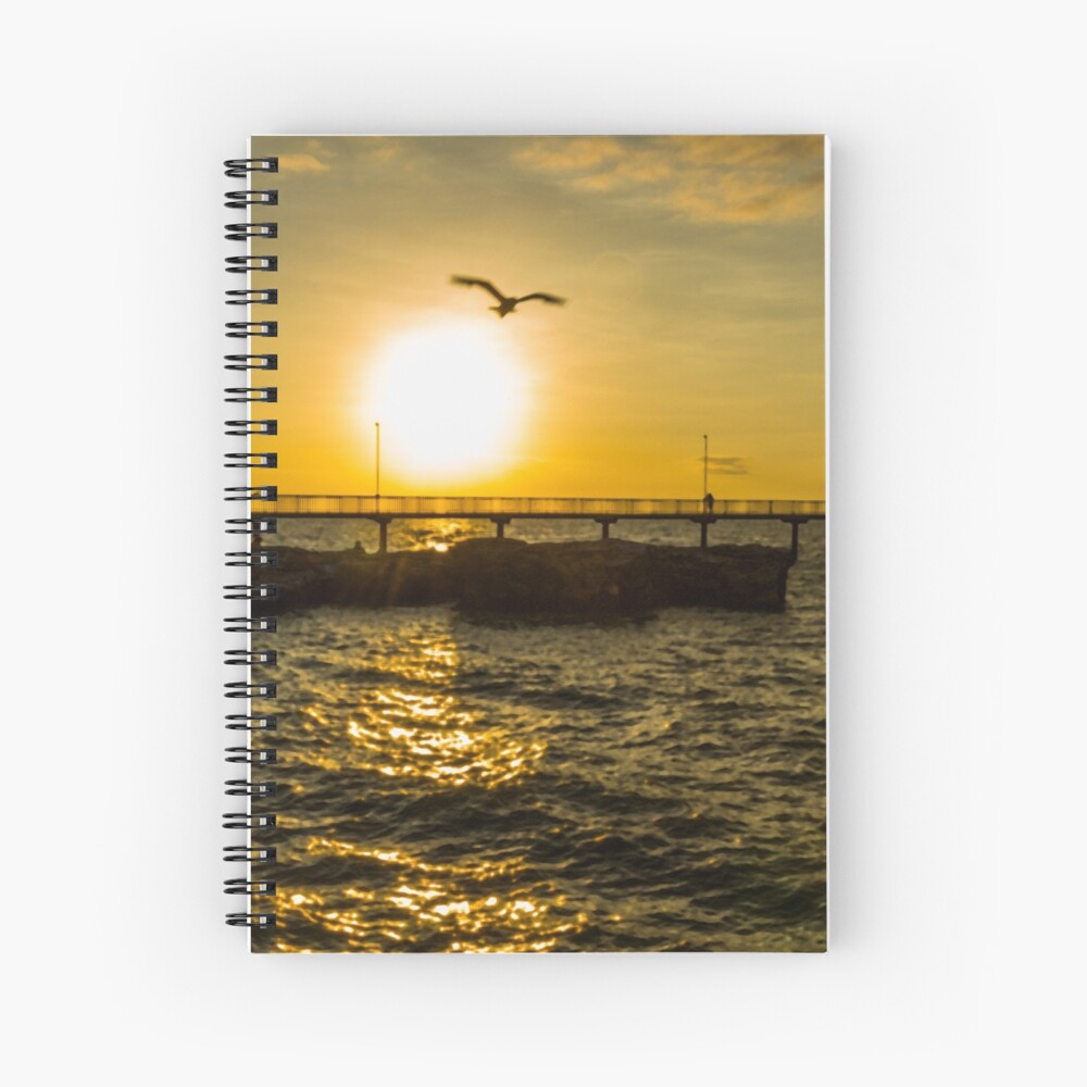 Fly off into the sunset Spiral Notebook