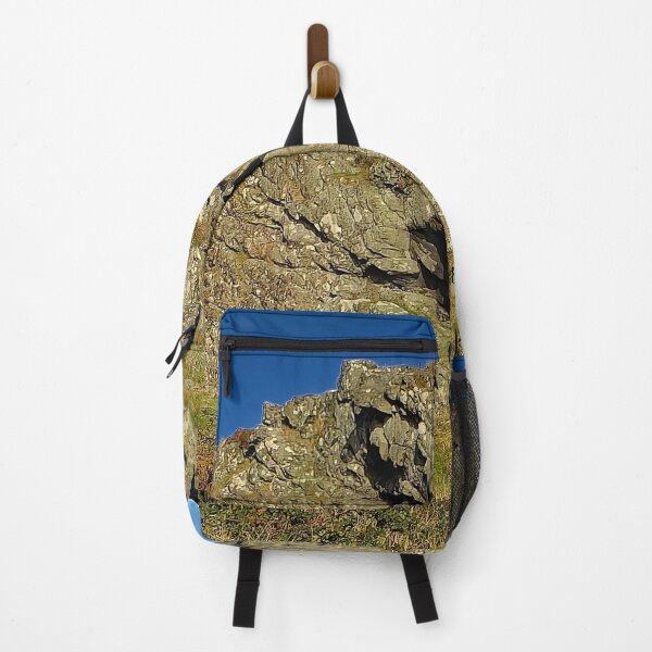 Item preview, The Famous 'Lion Rock', Millport designed and sold by Charles Kelly.