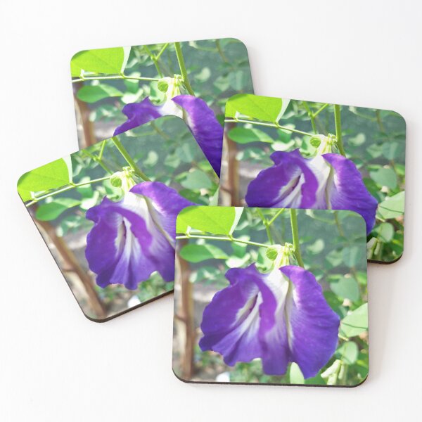 Aperçu de l'œuvre Fleur de pois papillon (fleur bleue) créée et vendue par Paint84.