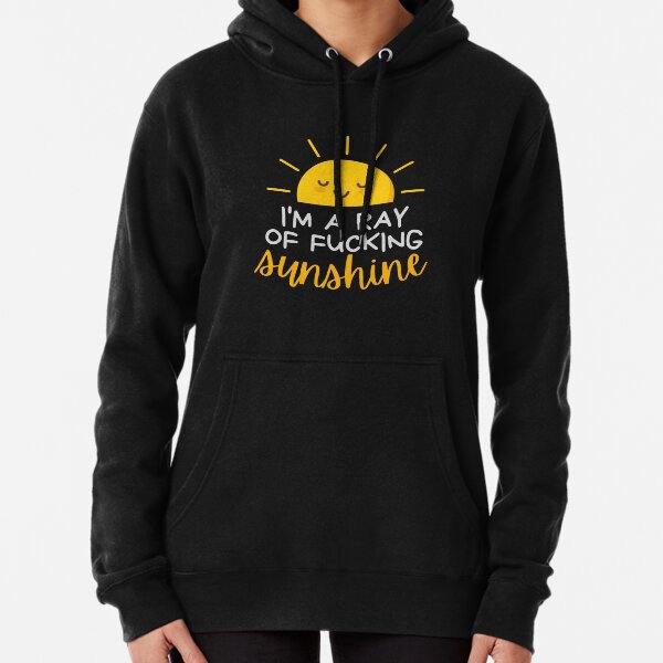 I'm a ray of fucking sunshine ..v Pullover Hoodie