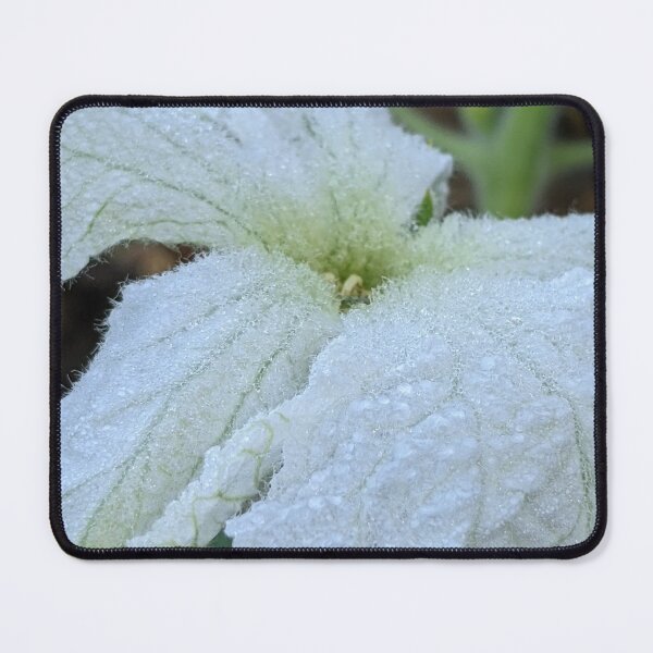 Item preview, Ghost Blossom designed and sold by aeolia.