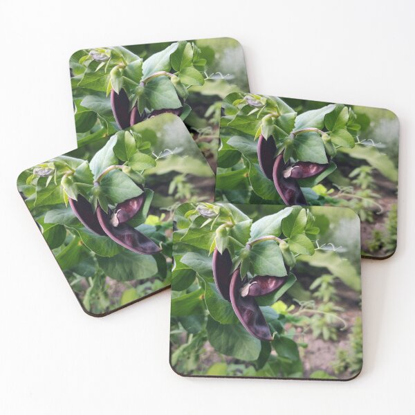 Item preview, Broad bean designed and sold by Gourmetkater.