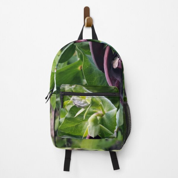 Item preview, Broad bean designed and sold by Gourmetkater.