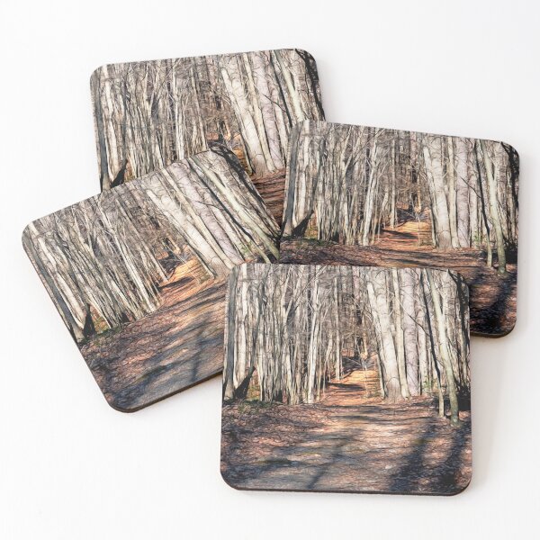 Item preview, ACLT Trail designed and sold by Eileen McVey.