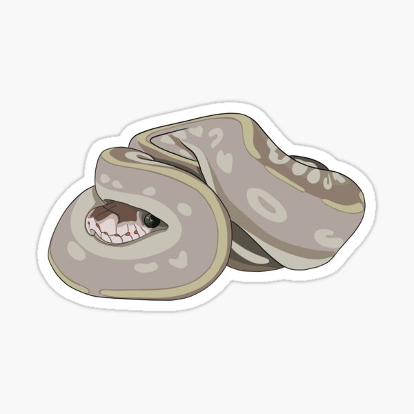 "Mystic Potion Ball Python" Sticker for Sale by emmamaitland | Redbubble