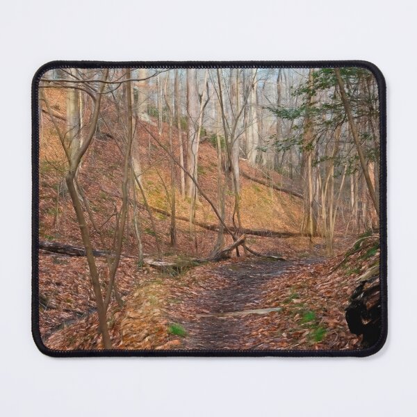 Item preview, Woods in February designed and sold by Eileen McVey.