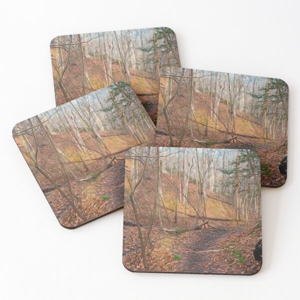 Item preview, Woods in February designed and sold by Eileen McVey.